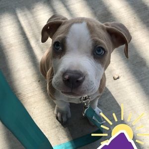 Meet your Posher, Corinne